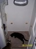100_5403.jpg