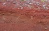 133399167-a-cut-of-red-volcanic-soil-with-different-layers-visible-on-the-hills-of-fuji-mounta...jpg