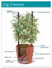 self watering bag planter gs2.jpg