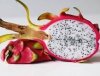 Image result for dragon fruit