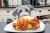 Funny-photo-of-a-bad-dog-with-paws-on-kitchen-counter_susan-schmitz_shutterstock.jpg