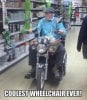 356fecfa8ec63f184ba1e232f5abba5e--harley-davidson-funny-things.jpg