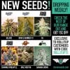 CS NEW SEEDS APRIL 2021-01 (1).jpg