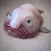 deep-sea-fish1.jpg