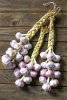 Braided-Garlic-Cover1.jpg