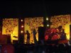 Coachella-Joshua Tree 097.jpg