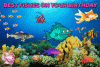 hbfishes.gif