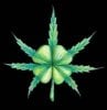 pot_leaf_clover_by_cmpyrrhus_dkrh1d-fullview.jpg