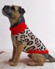 TINY_WOLF_Red_Leopard_Print_Dog_Sweater_1024x1024.jpg