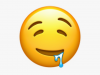 399-3998662_droolingfaceemoji-drooling-face-emoji-emoji-hd-png.png