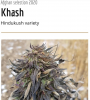 khash 1.PNG