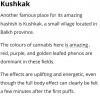 kushkak 2.PNG