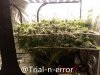 grow-with-medic-grow-fold-8-trial.jpg