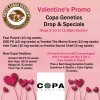 Valentine Promo Copa with date.jpg