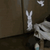 owl-entrance.gif