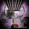 grow-with-medicgrow-smart8-spacementgrown.jpg