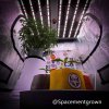 grow-with-medicgrow-smart8-spacementgrown-1.jpg