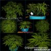 grow-with-medicgrow-smart8-spacementgrown-20220212-2.jpg