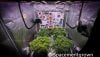 grow-with-medicgrow-smart8-spacementgrown-flipped-5.jpg