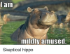 mildly-amused-skeptical-hippo.png