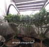 grow-with-medicgrow-fold8-hardcorez-8.jpg