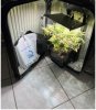 Suitcase Scrog.jpg