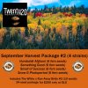 Twenty20 Harvest Pkg #2 w price.jpg