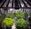 grow-with-medicgrow-smart8-spacementgrown-week2flower-1.jpg