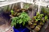 first-grow-20220418-0091.jpg