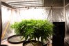 first-grow-20220601-0697.jpg