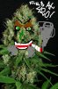 budface.jpg