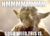 Yoda_Weed_Meme.jpg