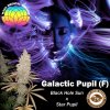 MMS - Galactic Pupil.jpg