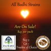 Bodhi Sale w price 2.jpg