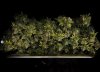 grow-with-medicgrow-smart8-spacementgrown-trim5.jpg