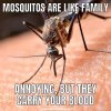 mosquitos.jpg