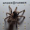 spiderfarmerofficial (1).jpg