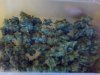 half oz blue cheese.jpg