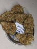 Z x Dosi #1 cured- mountain airz pheno.jpg