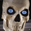 skulleyes.PNG