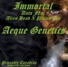 Immortal autoflower feminised seeds by Aeque Genetics for Coastal Mary Seeds.jpg