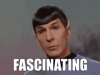 spock-fascinating.gif