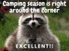 raccoon-evil-meme-2.jpg