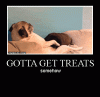 funny-animated-gifs-dog-treats-expensive.gif