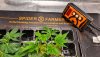 Attack of the Clones Spider Farmer® 10”X20.75” Seedling Heat Mat & Controller Set (2).jpg