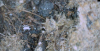 Insectsoil2.png