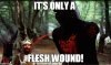 flesh wound.jpg