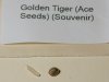 Golden tiger seed.jpg