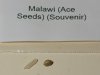 Malawi seed.jpg