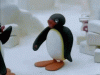 pingu.gif